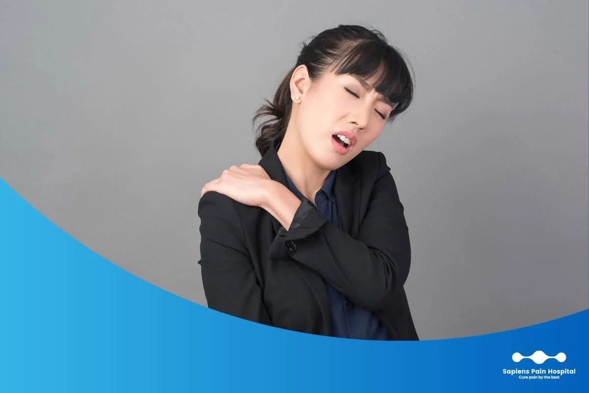 Shoulder and shoulder blade anatomy